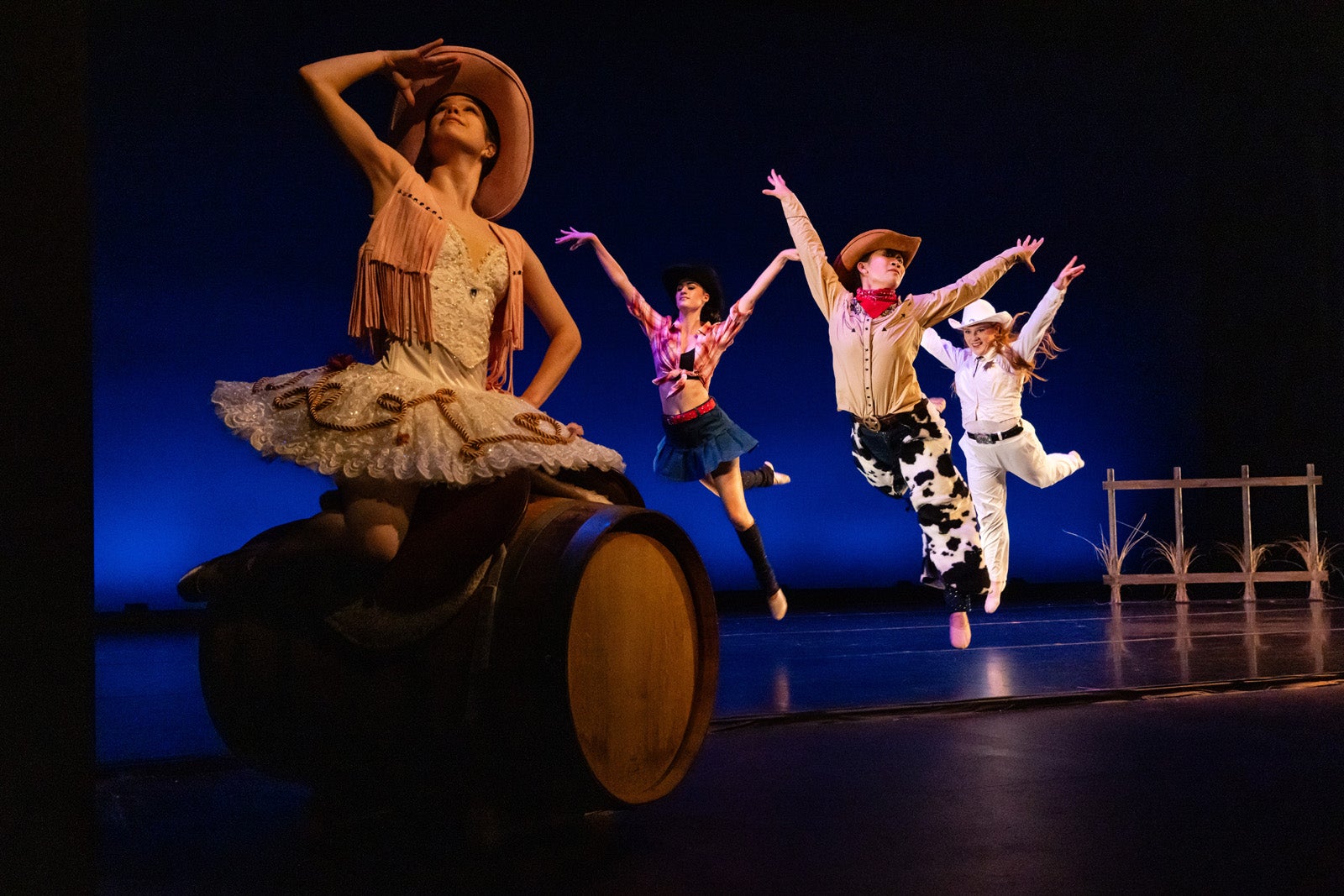 Skyevarga Performance