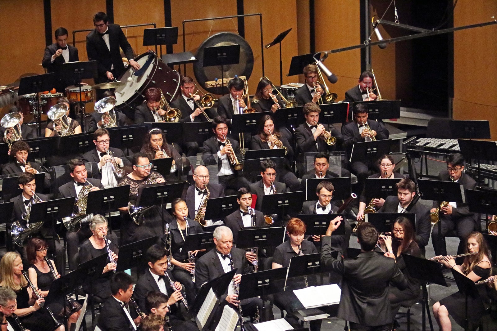 Wind Symphony Performance