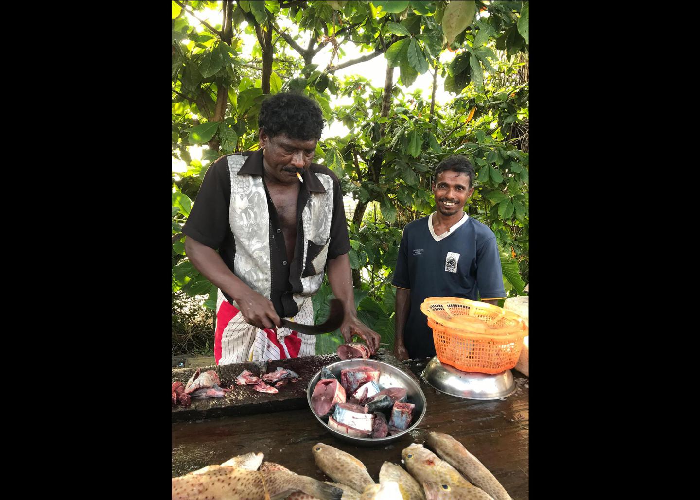 Liz Angela Cuevas photo submission