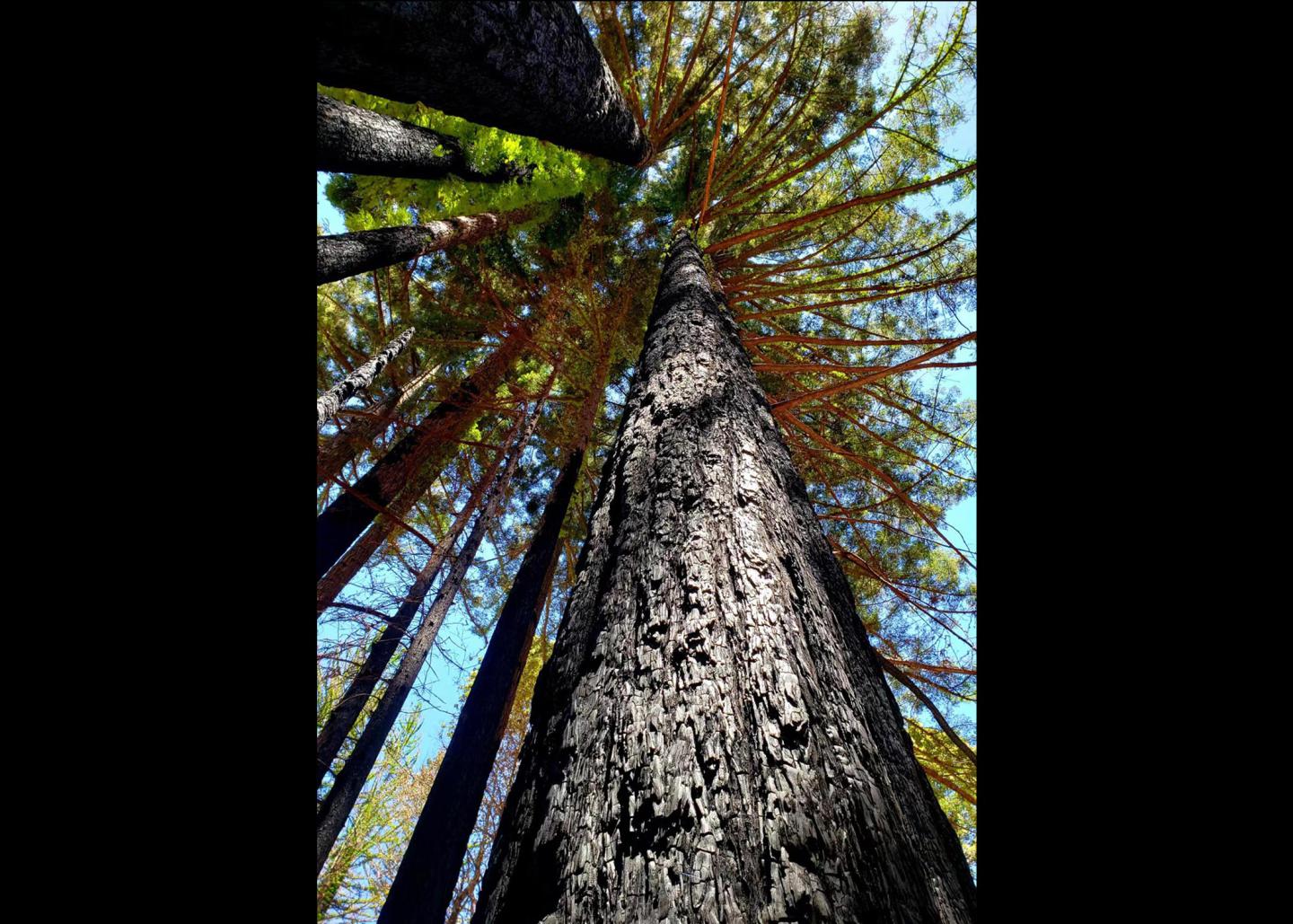 George Zhou photo submission