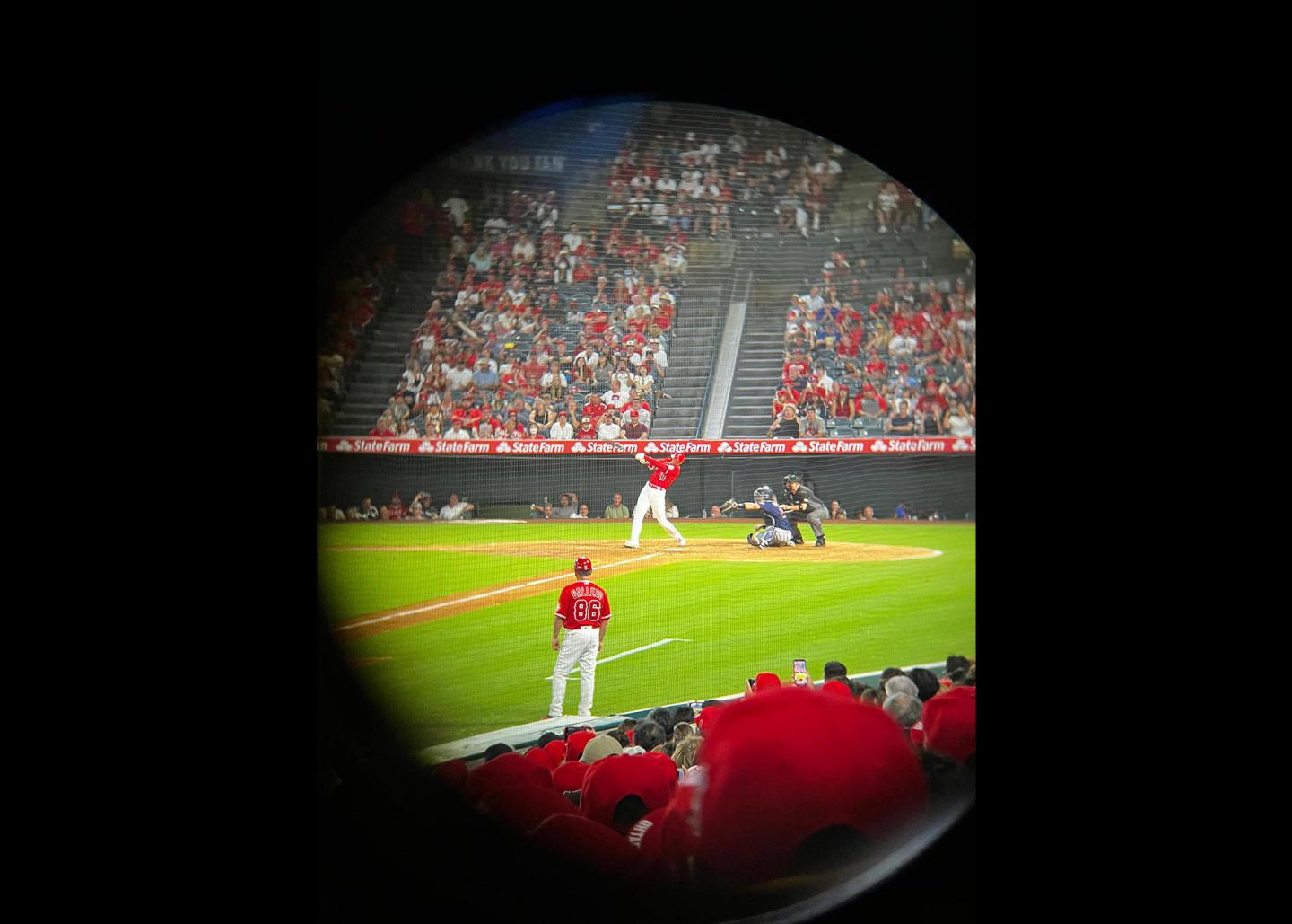 LuLu Wu photo submission