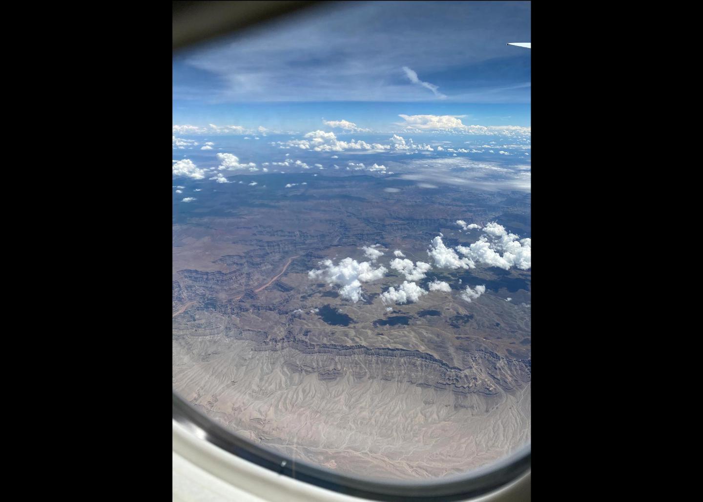 Naomi Adams photo submission